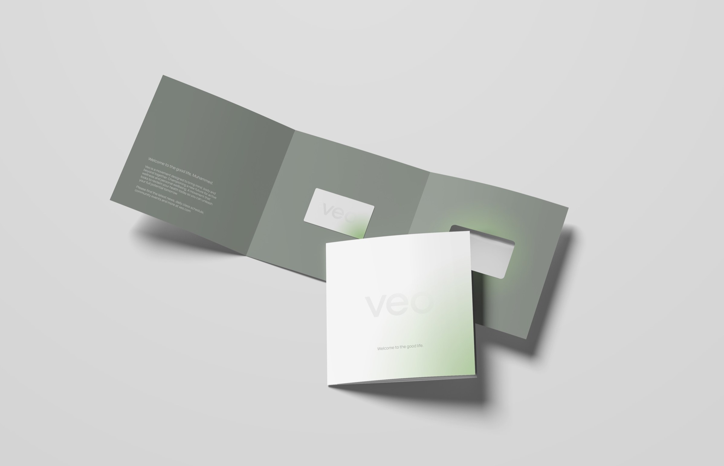 The Veo brand folder — welcome to the good life